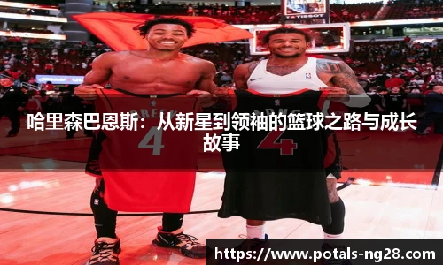 南宫28娱乐